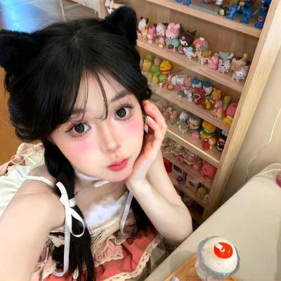 大宋奇案之狸猫换太子传奇